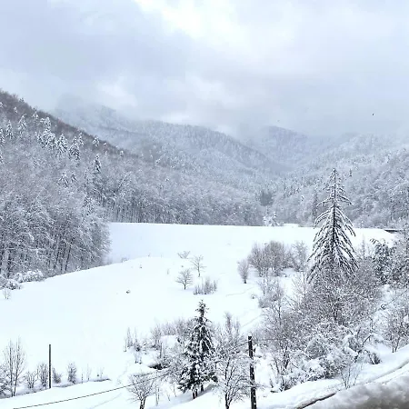 Forest View Oasis Braşov