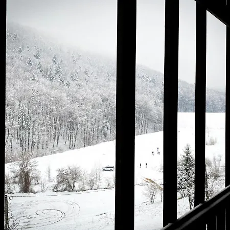 Forest View Oasis Appartement *