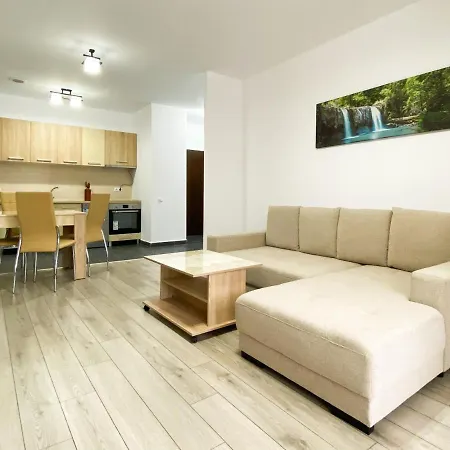 Forest View Oasis Брашов