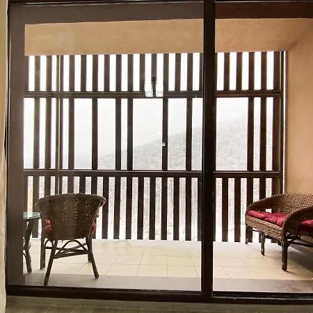 Forest View Oasis Braşov