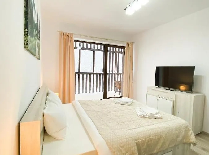 Forest View Oasis Апартаменти Брашов