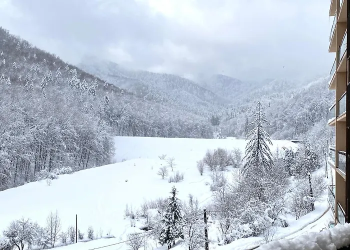 Forest View Oasis Braşov