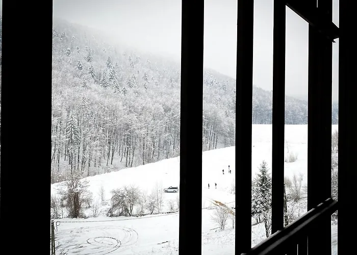 Forest View Oasis Appartement *