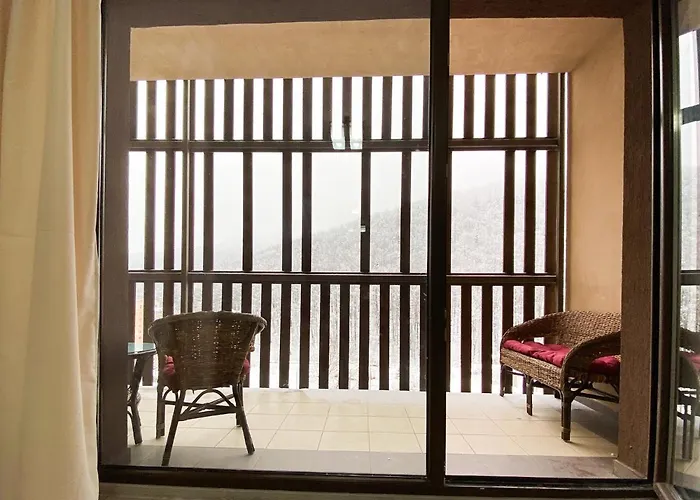 Forest View Oasis Брашов