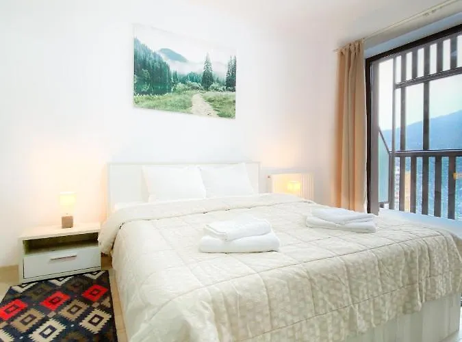 Forest View Oasis Braşov