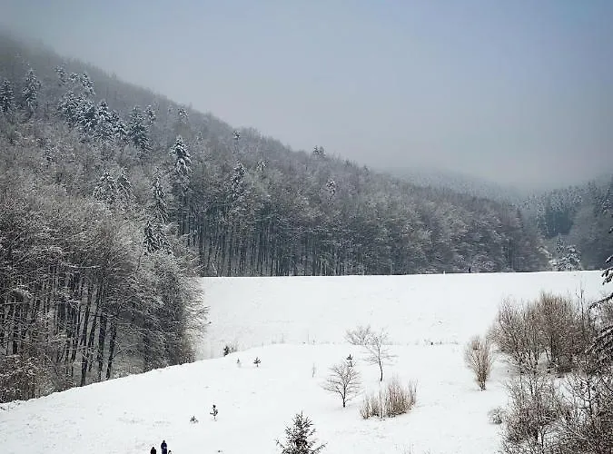Appartement Forest View Oasis